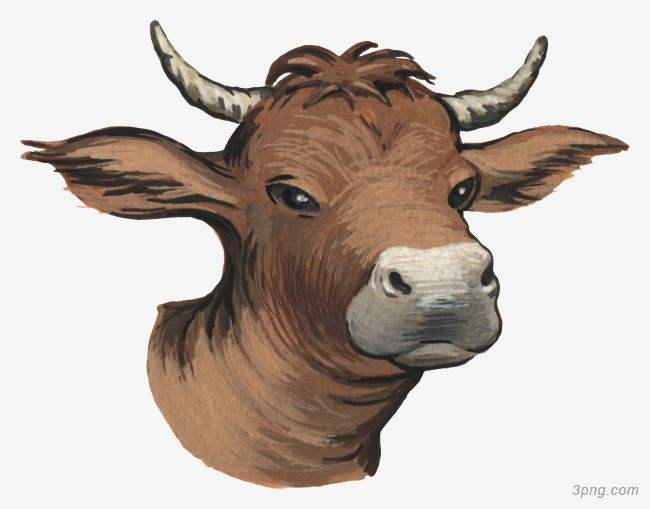 吉林市舒蘭市天德鄉(xiāng)反芻技術(shù)交流會圓滿成功！